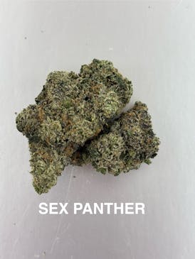 SEX PANTHER - EXOTIC TIER 1