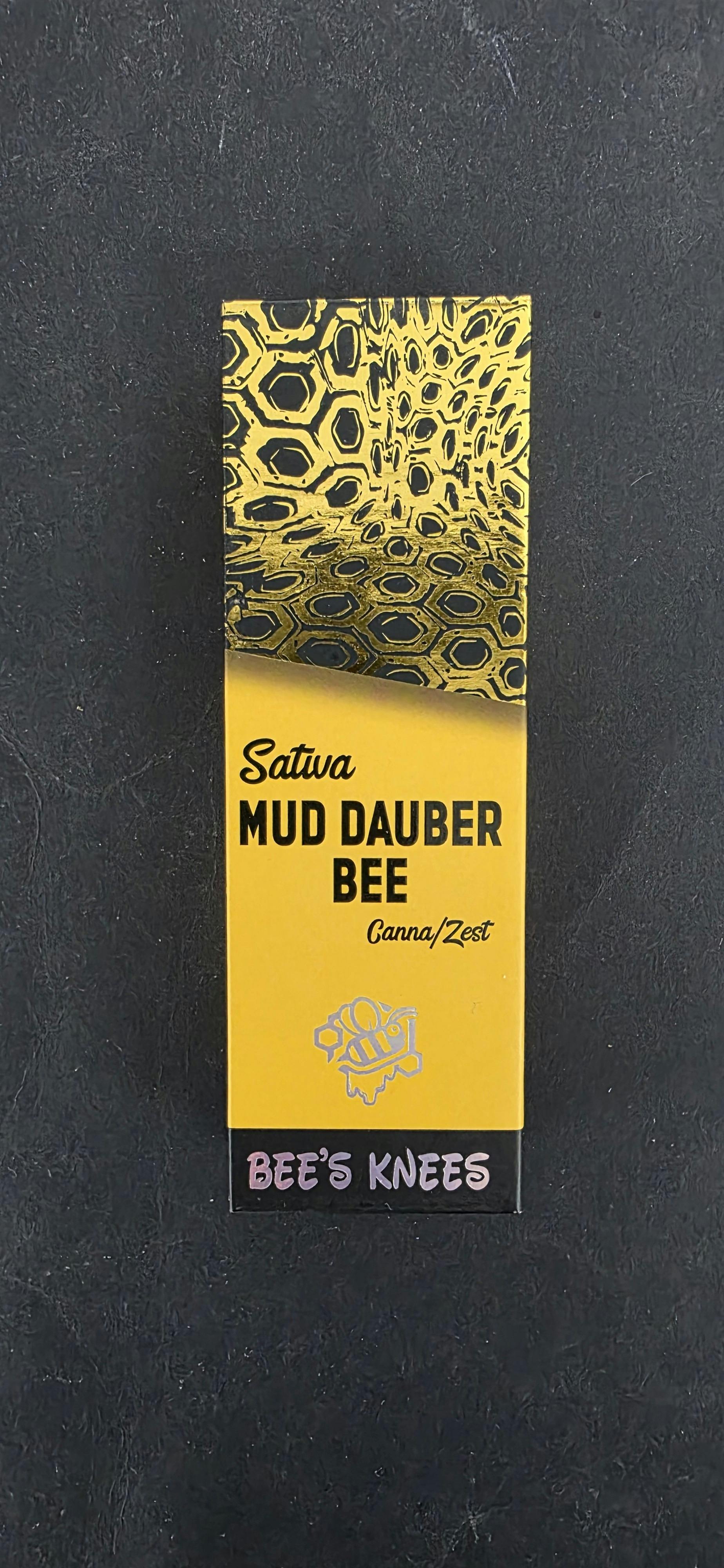 BK 2G - MUD DAUBER BEE