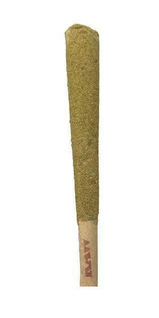 White Moose Infused preroll - Ice Cube OG