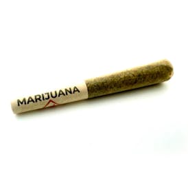 Safebet - 0.5g Pre-Roll - Gascotti Purple