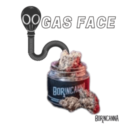 Gas Face 1