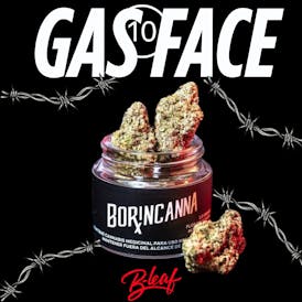 GAS FACE 10