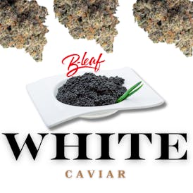 WHITE CAVIAR