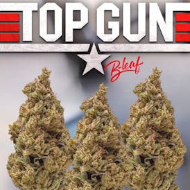 TOP GUN