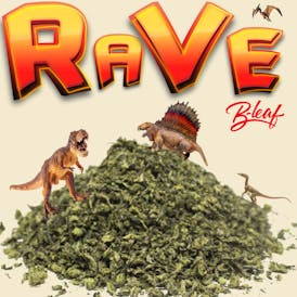 RAVE SHAKE