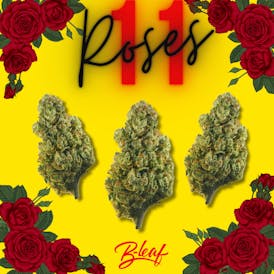11 ROSES FLOWER