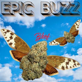 EPIC BUZZ FLOWER