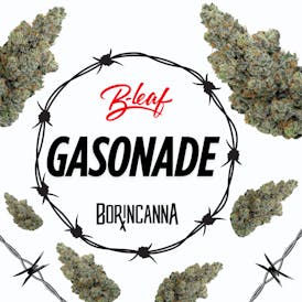 GASONADE