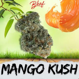 MANGO KUSH