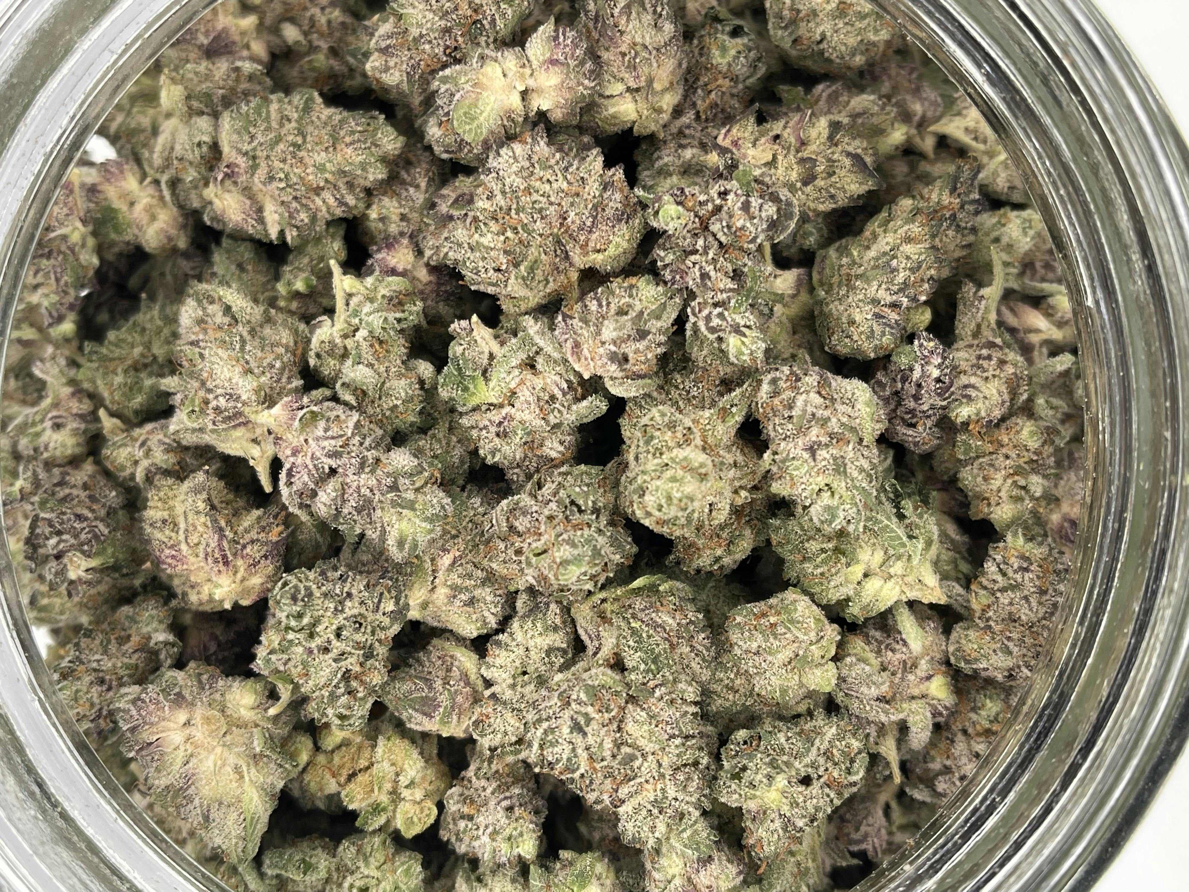 Glacee Blanche | Big Buds | 1g at Livwell Meds Sulphur