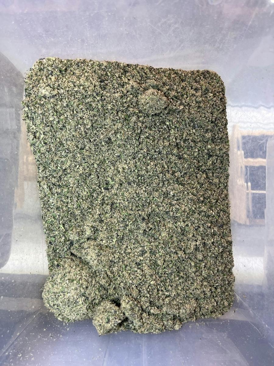Roseanna Shake (Nexleaf) at Livwell Meds Sulphur