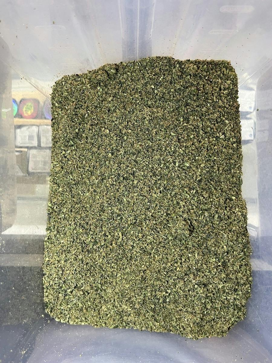 Royal Slippers Shake (Nexleaf) at Livwell Meds Sulphur