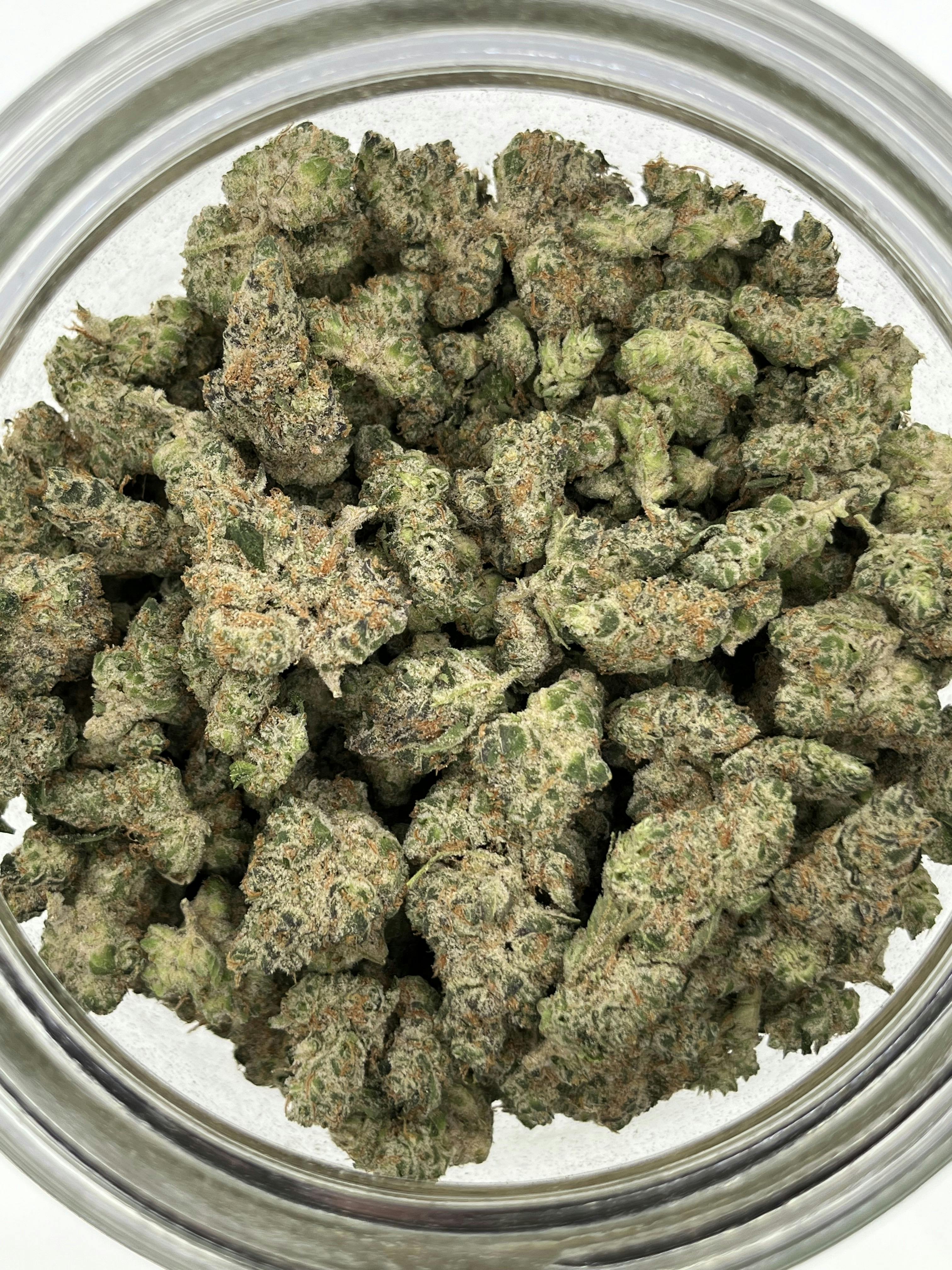 GMO | Big Buds | 1g at Livwell Meds Sulphur