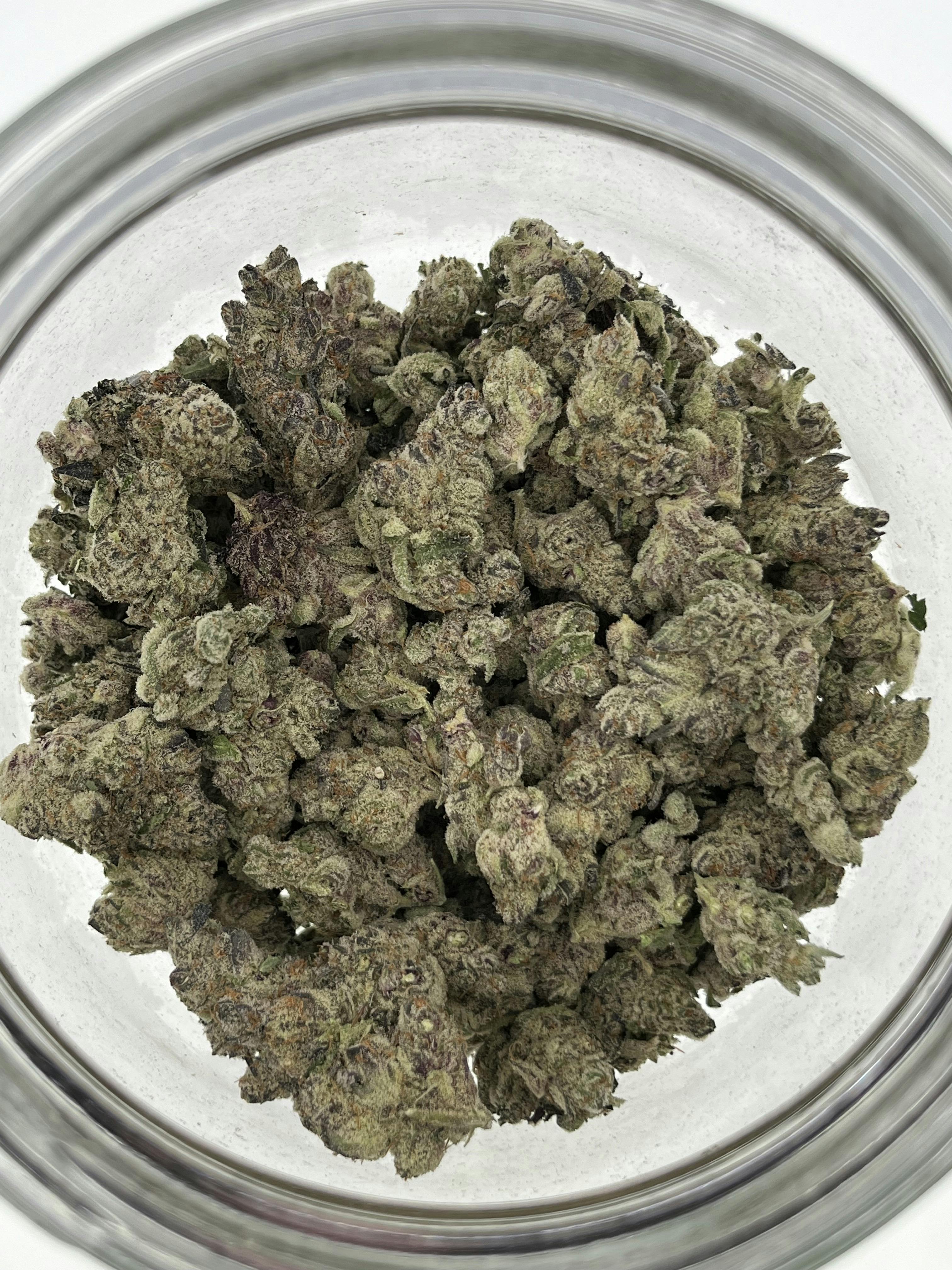 Jupiter Kush (OTOC)
