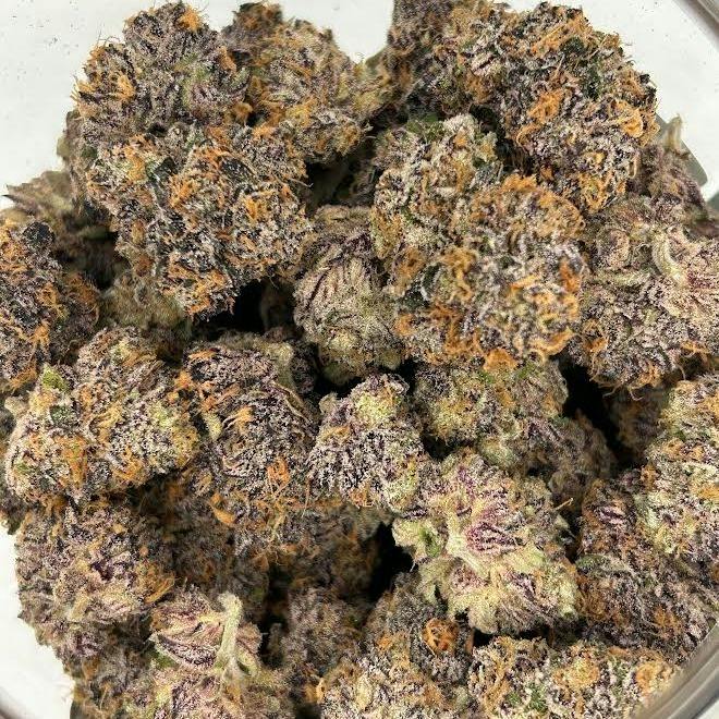 Herbert The Sherbert | Buds | 1g