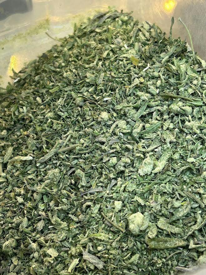 Strawberry Cough | Ground at Livwell Meds Sulphur