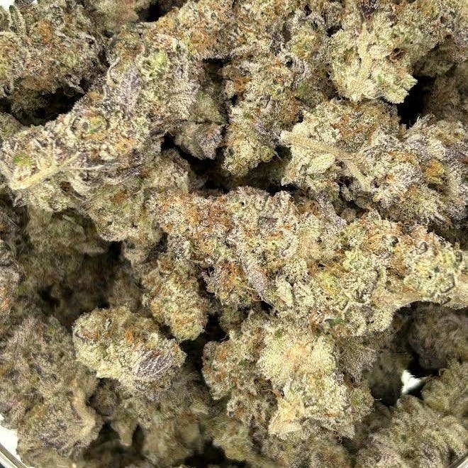 Platinum Garlic Breath