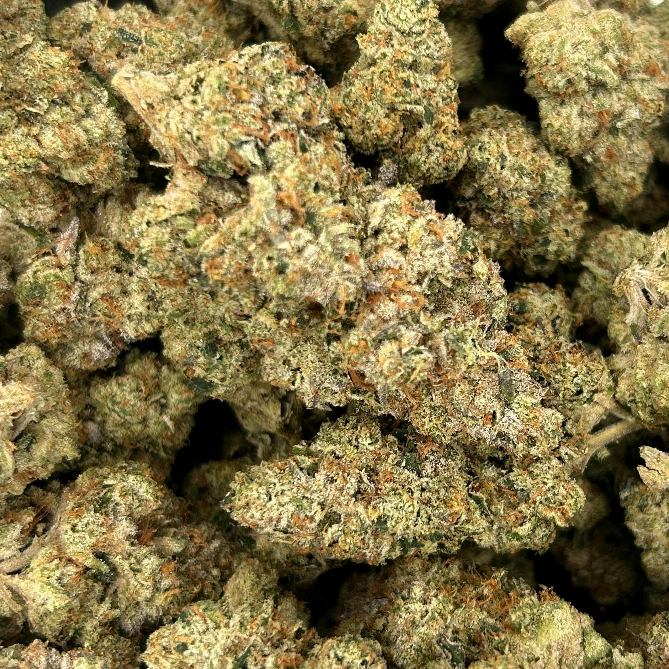Zuyaqui (TerpTech)