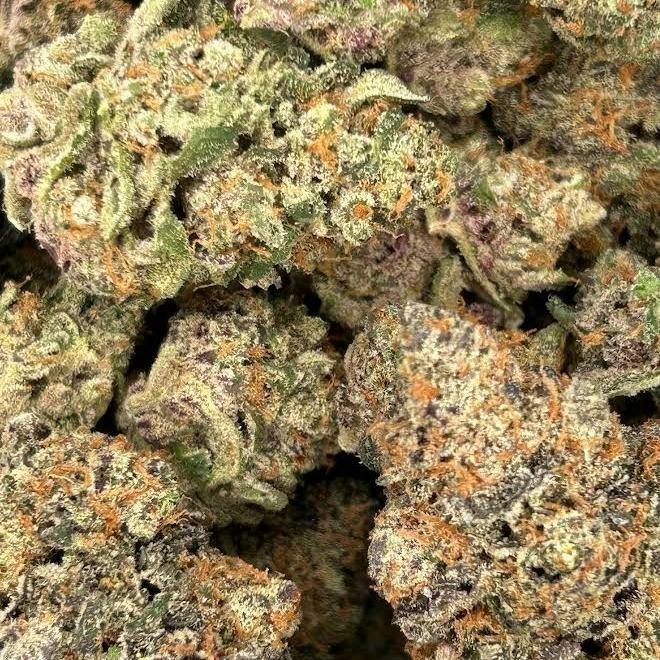 Pineapple Breeze (Golden Bloom)