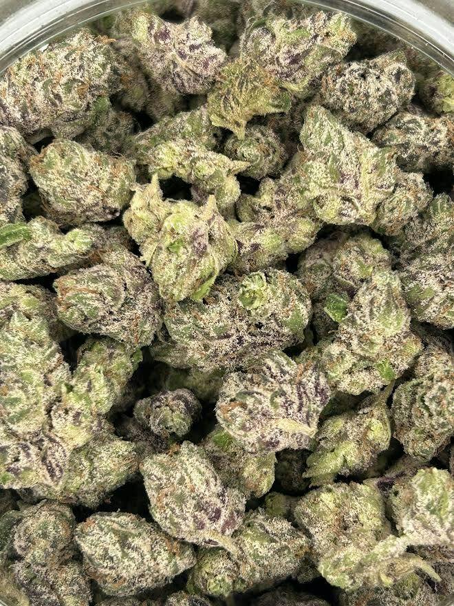 Gelato 41