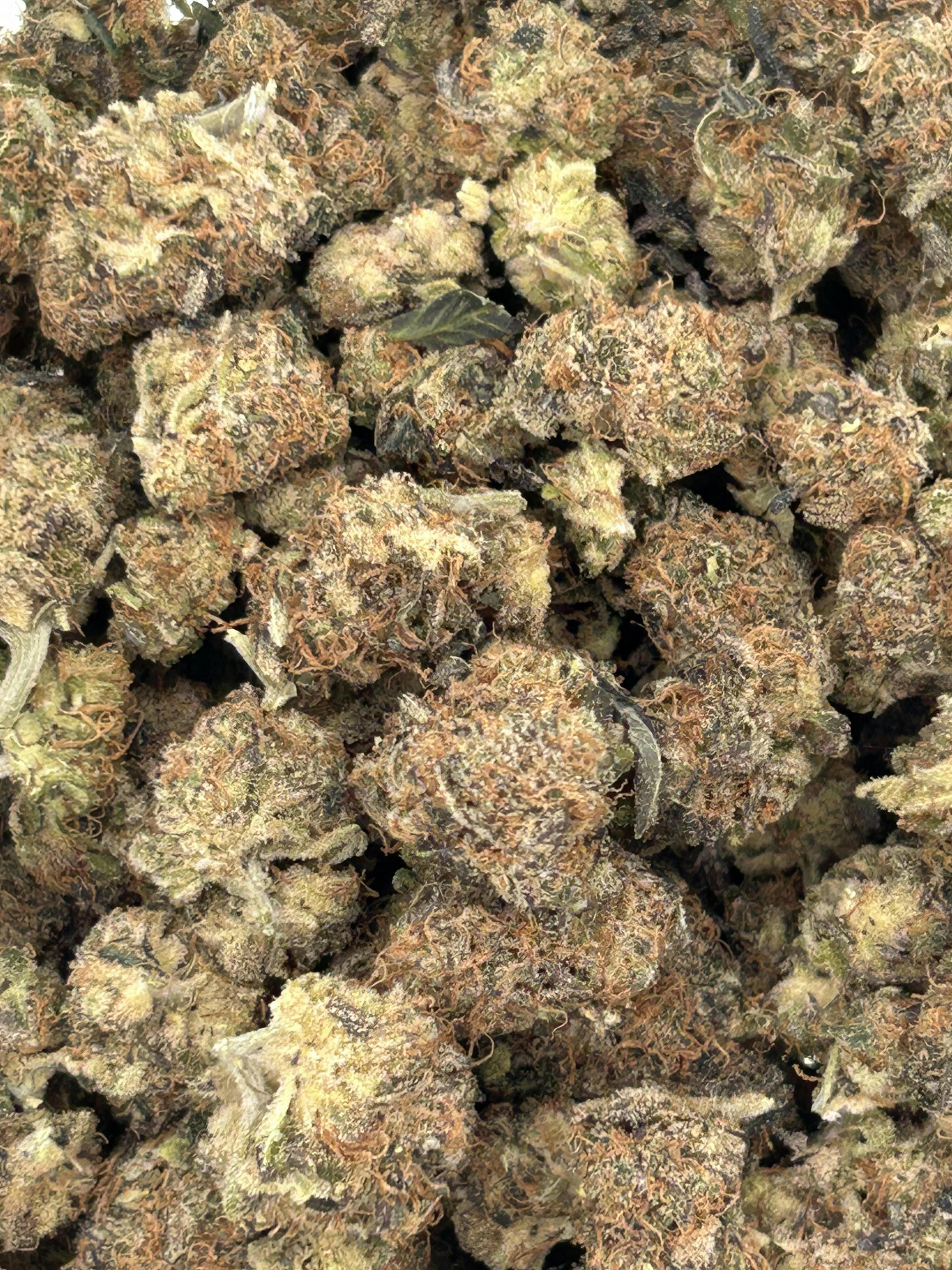 Lilac Diesel (Lucid) at Livwell Meds Sulphur