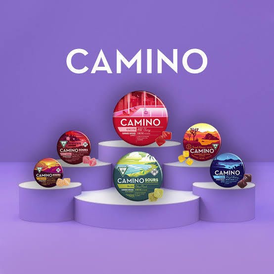 MANGO SERENITY CBD: MANGO SERENITY CBD 1:1 GUMMIES