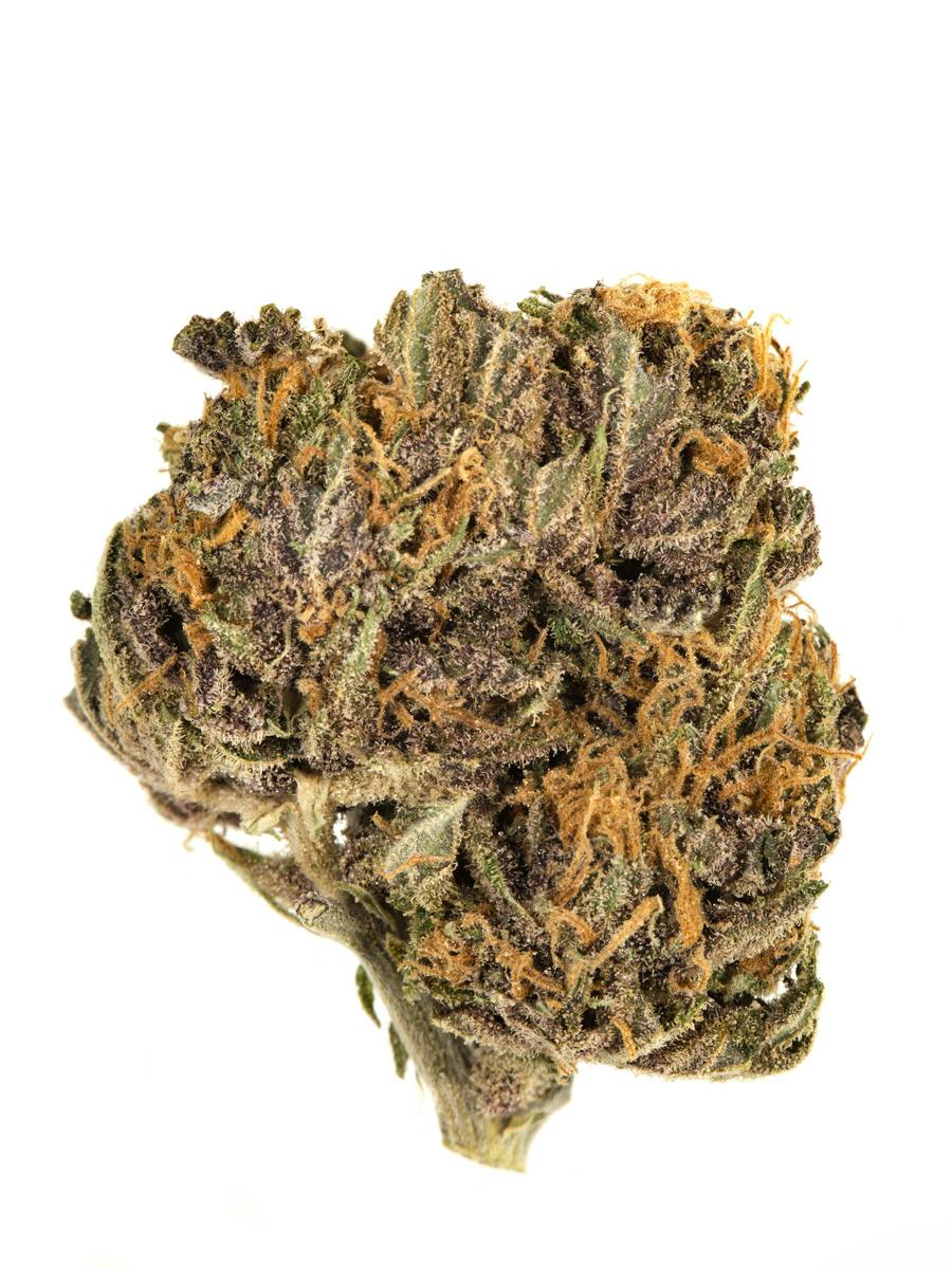 P37 | Runtz | Big Buds at Canna Company- Deming Dispensary