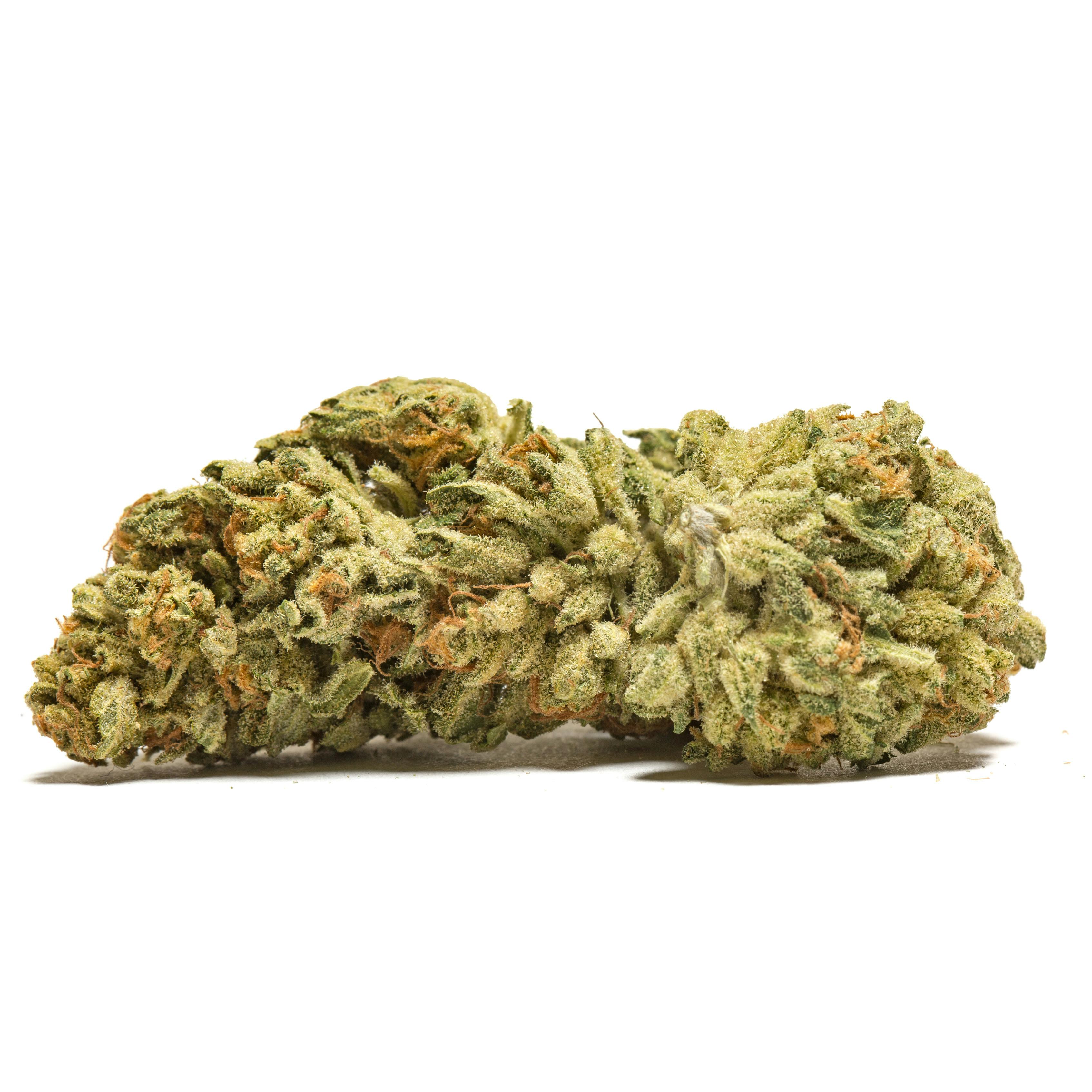 P37 | The Funk From Mars | Big Buds at Ultra Health Dispensary Deming