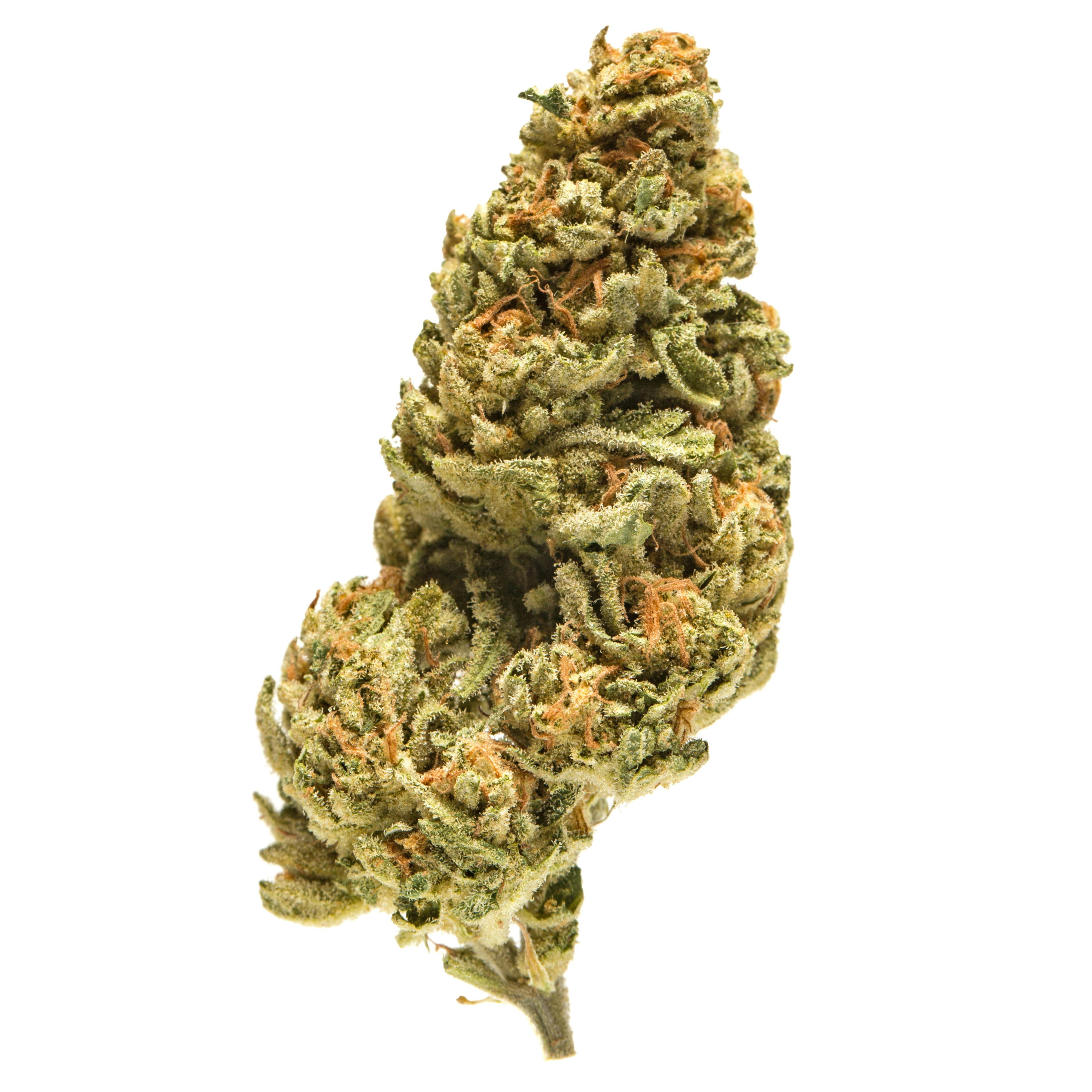 P37 | Green Crack | Big Buds at Flavors Dispensary Deming