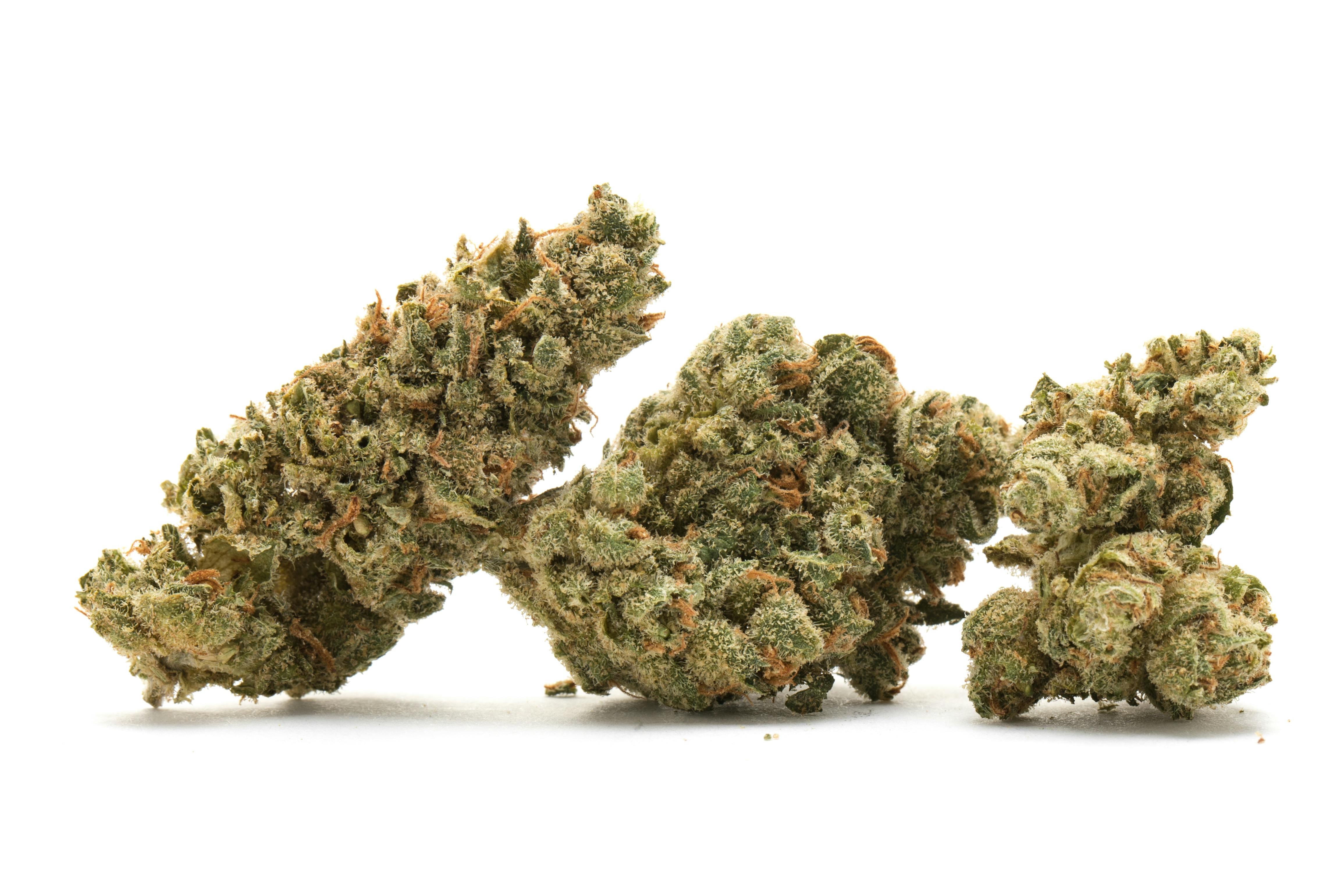 P37 | King Louie XII | MLF Flower | 1g