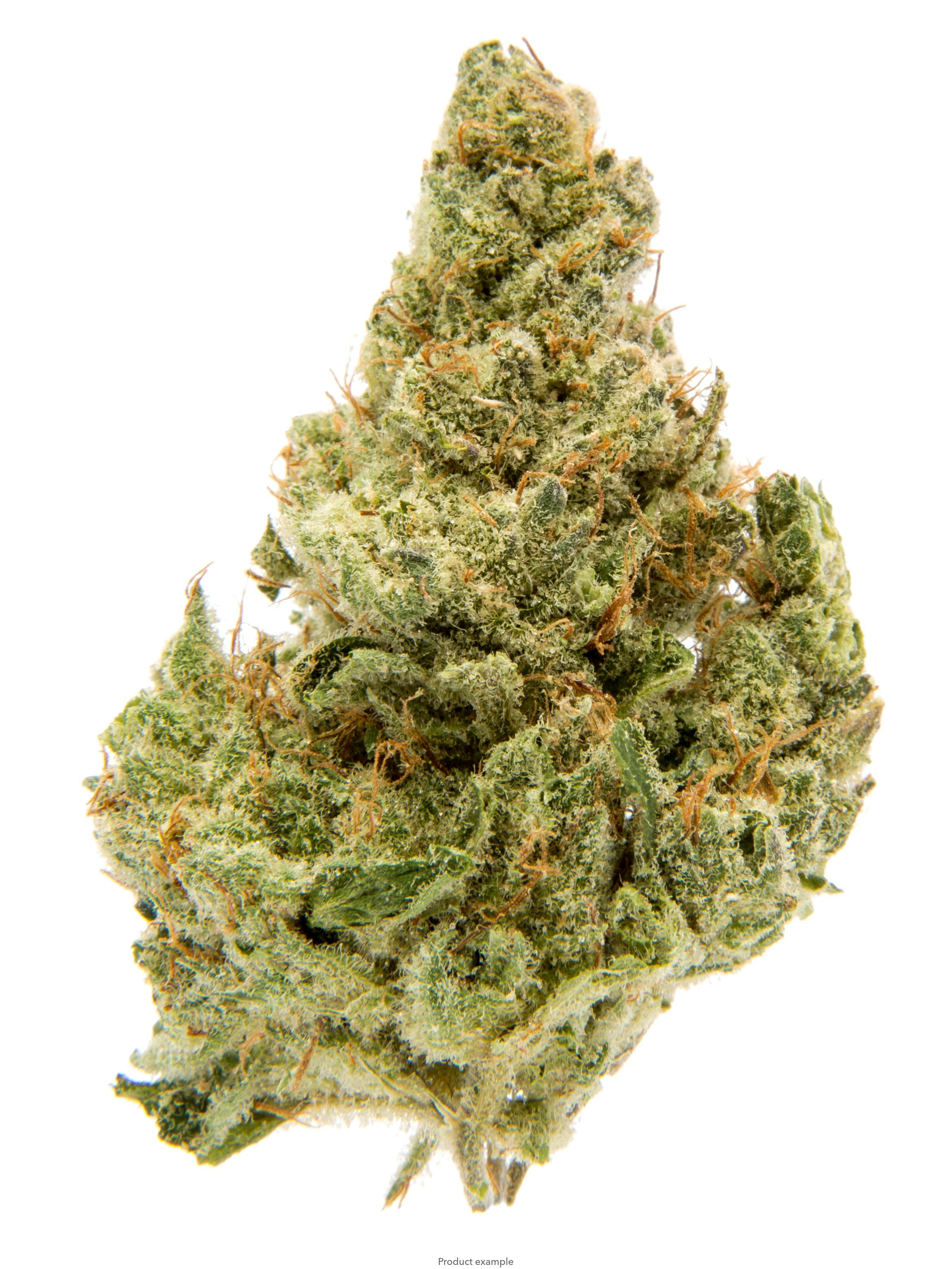 P37 | Cherry Airheads | Big Buds | 3.5g by P37