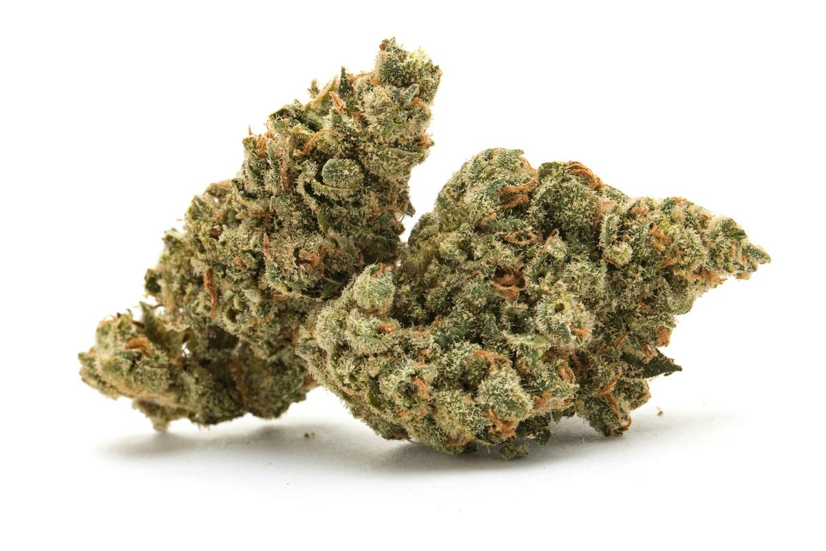 P37 | Blue Odder Popz | MLF at Deming Cannabis Company