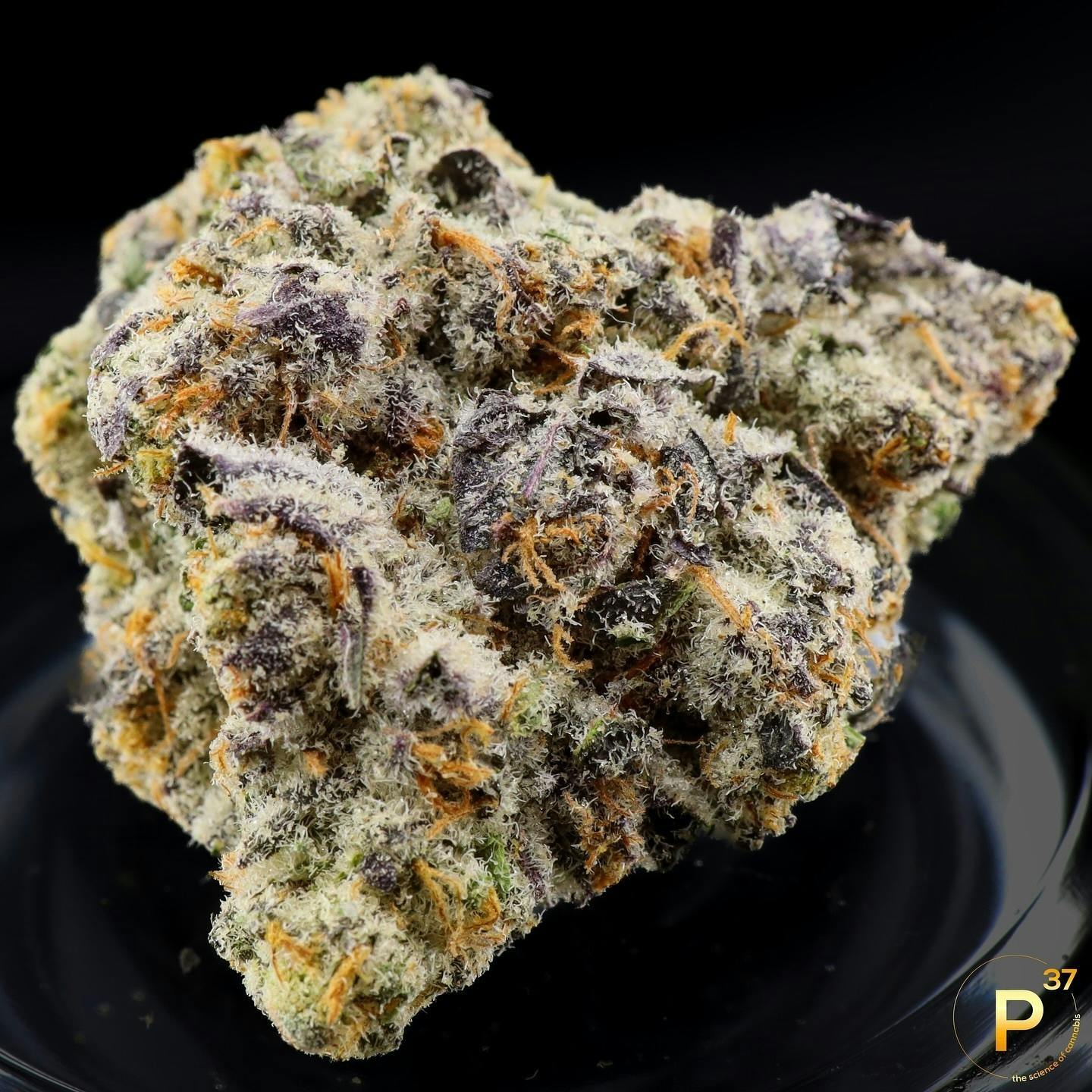 P37 | Red Runtz | Big Buds at Deming Cannabis Company