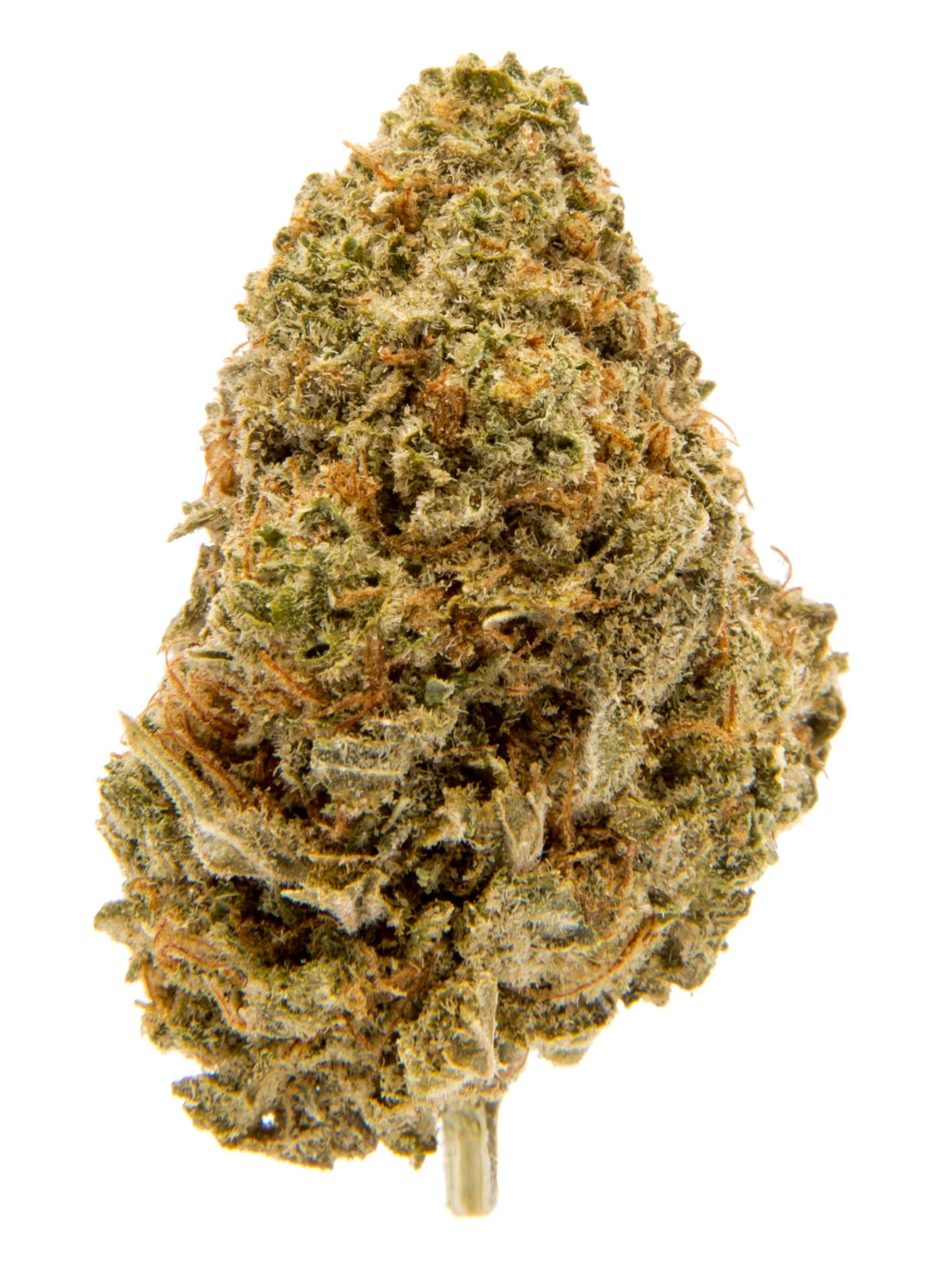 P37 | Sour Kiwi | Big Buds | 1g at Canna Company- Deming Dispensary