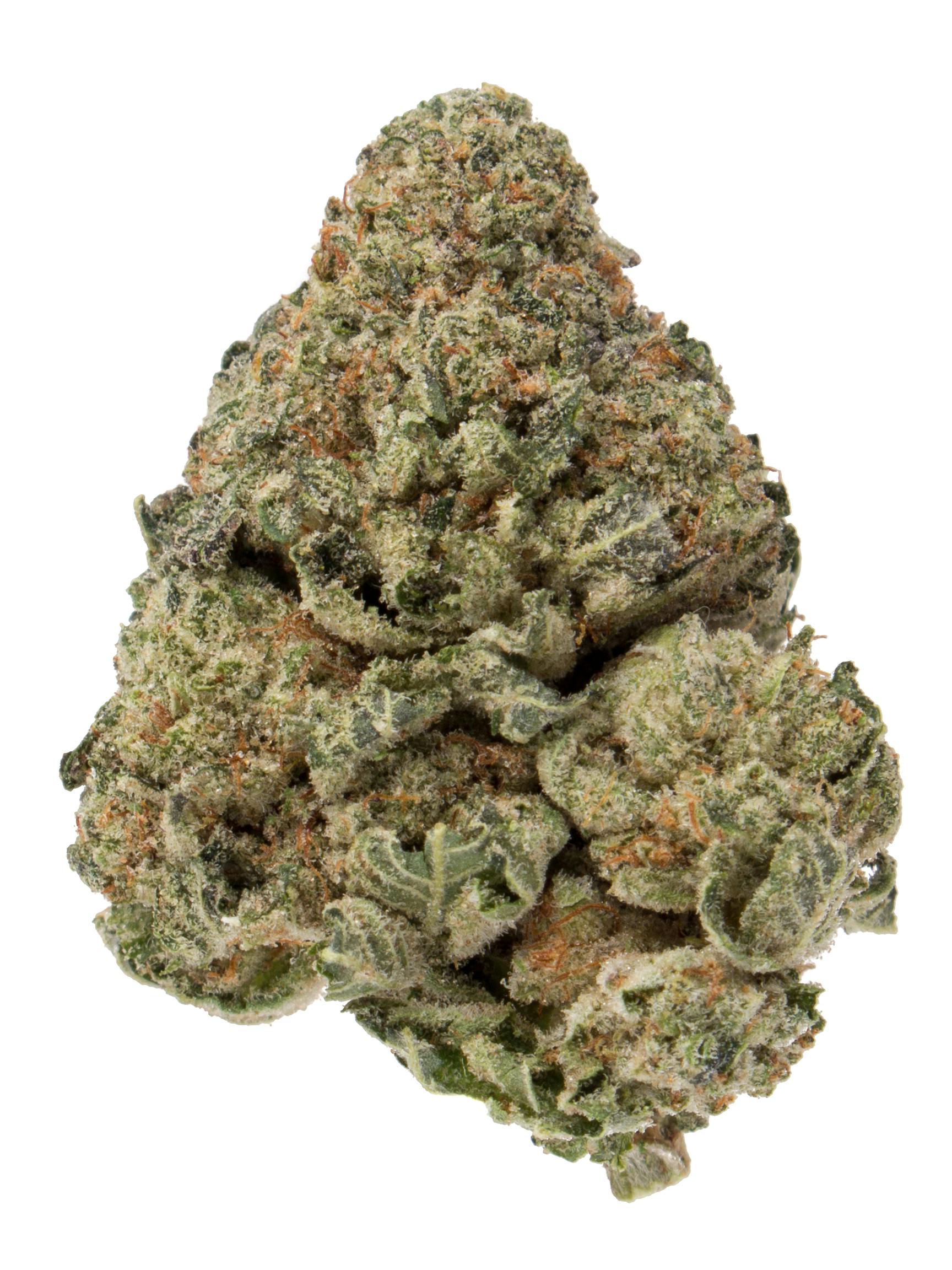 P37 | Funkdified | MLF at Flavors Dispensary Deming