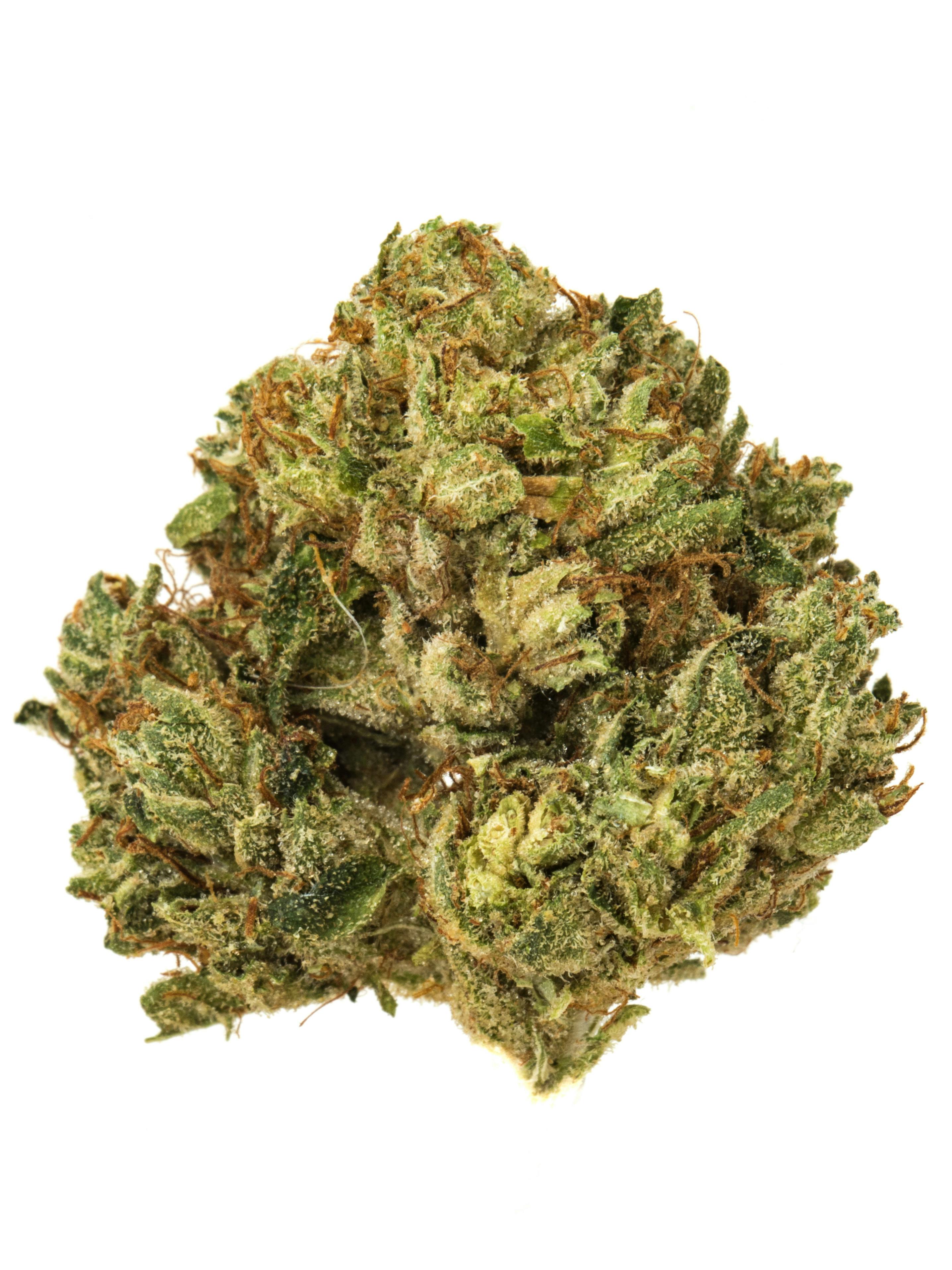 P37 | King Louis XIII | Joint | 1g
