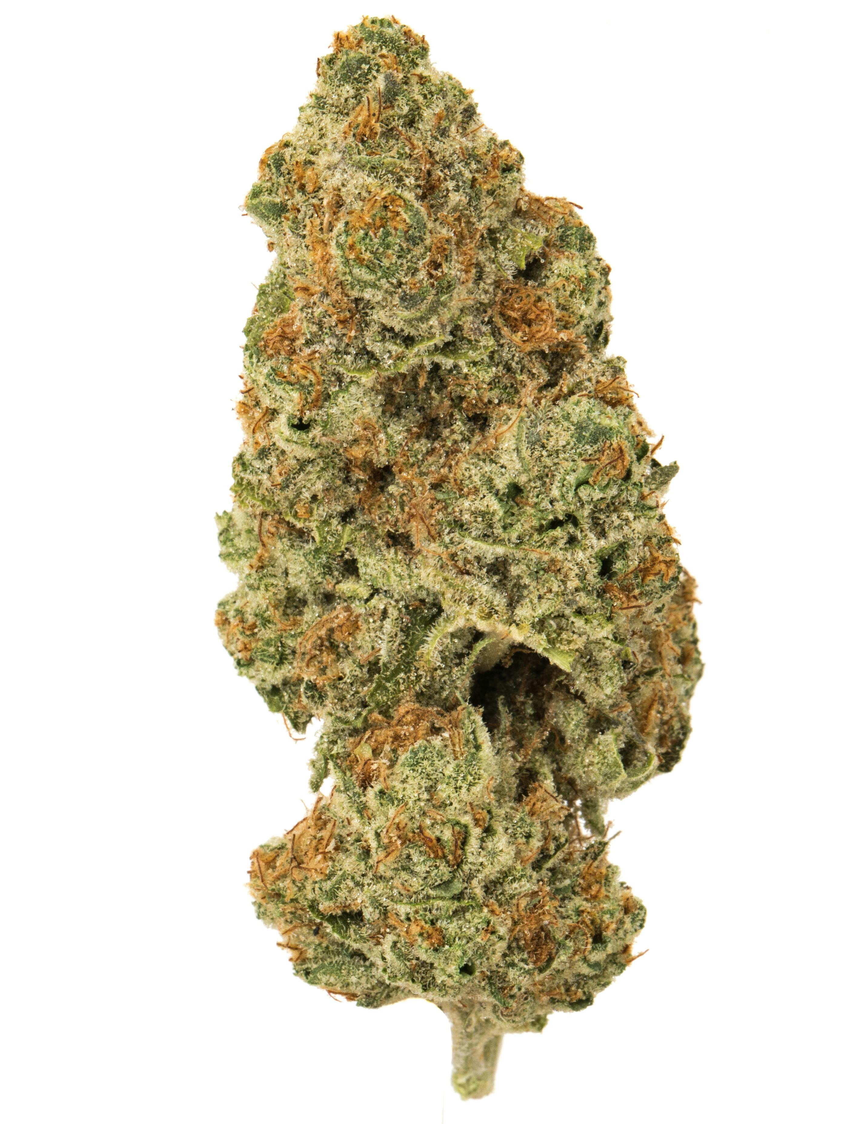 P37 | Zerealz | Big Buds at Deming Cannabis Company