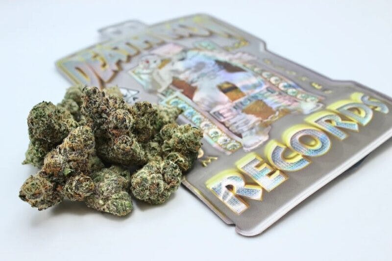 P37 | Tropical Runtz | Big Buds by P37