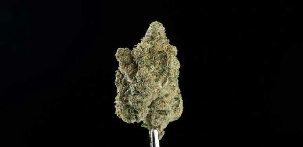 P37 | Fat Cap | 3.5g cannabis product