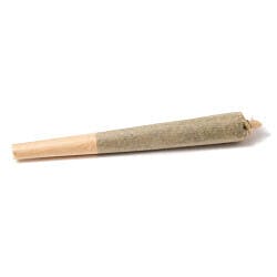 Apple Fritter | Joints | 1g at Ultra Health Dispensary Deming