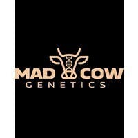 Mad Cow Genetics | 2g Blunt | Blu Crumbl cannabis product