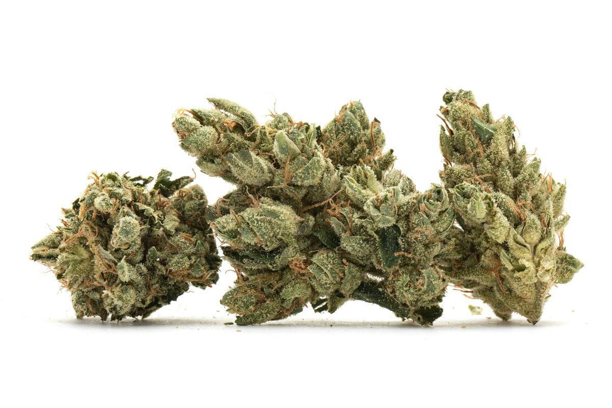 HCC Pre-Packed Flower Purple Starfruit 28g at HCC Herrera Cannabis Co.