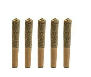 Green Fuego Infused Pre-Rolls .75g Sativa Mix (5 Pack) at HCC Herrera Cannabis Co.
