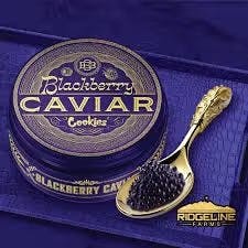 Cookies | Blackberry Caviar | Flower | 3.5g at HCC Herrera Cannabis Co.