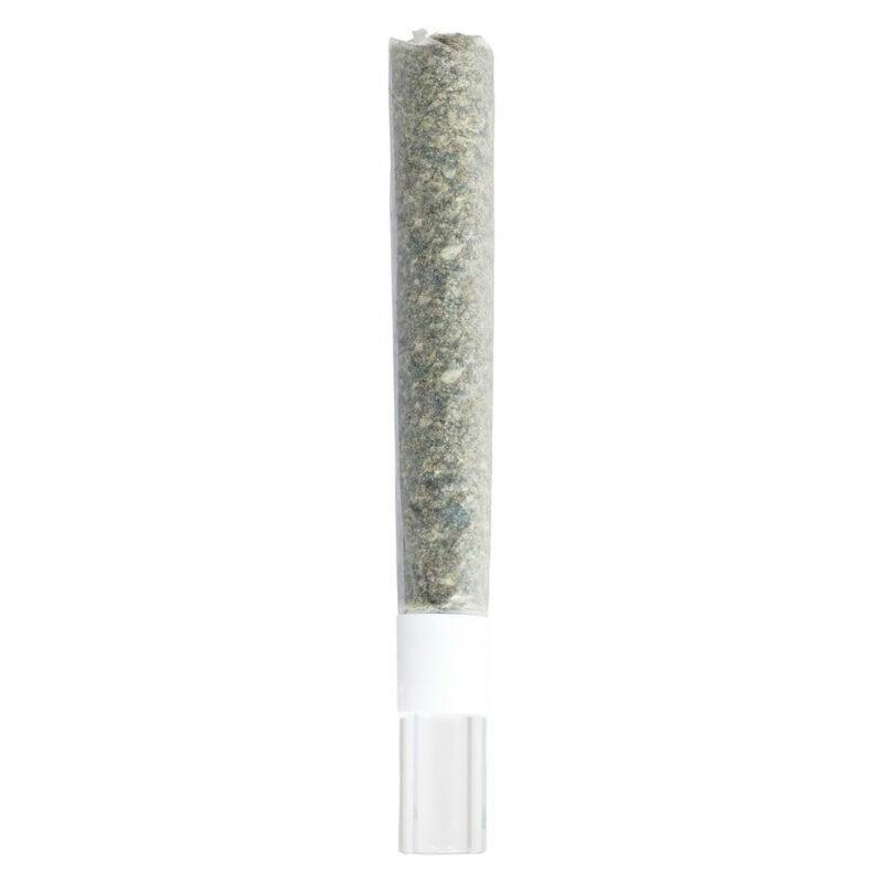 HCC Infused Cuban Joint at HCC Herrera Cannabis Co.