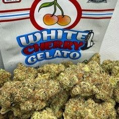 Backpackboyz White Cherry Gelato at HCC Herrera Cannabis Co.