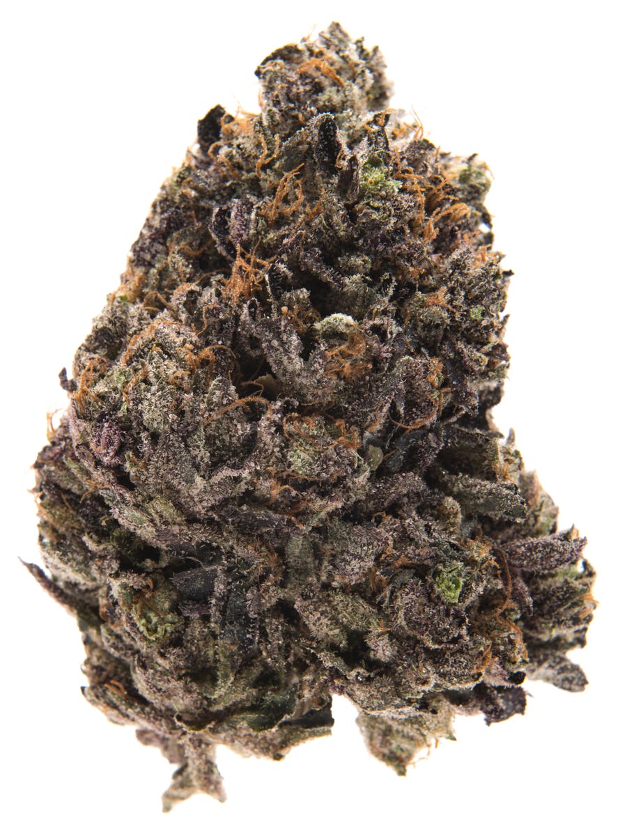 The Master Grower Group Purple Nerdz at HCC Herrera Cannabis Co.