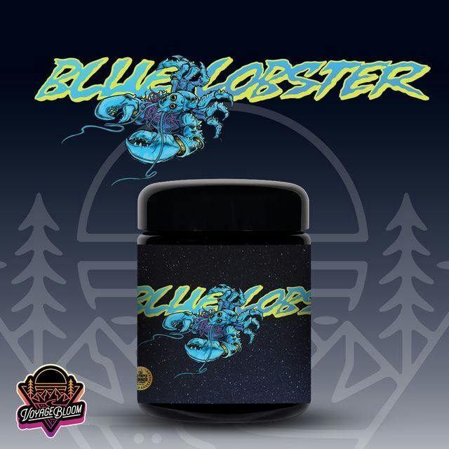 Voyage Bloom | Blue Lobster | 14g | Pre-Pack Flower