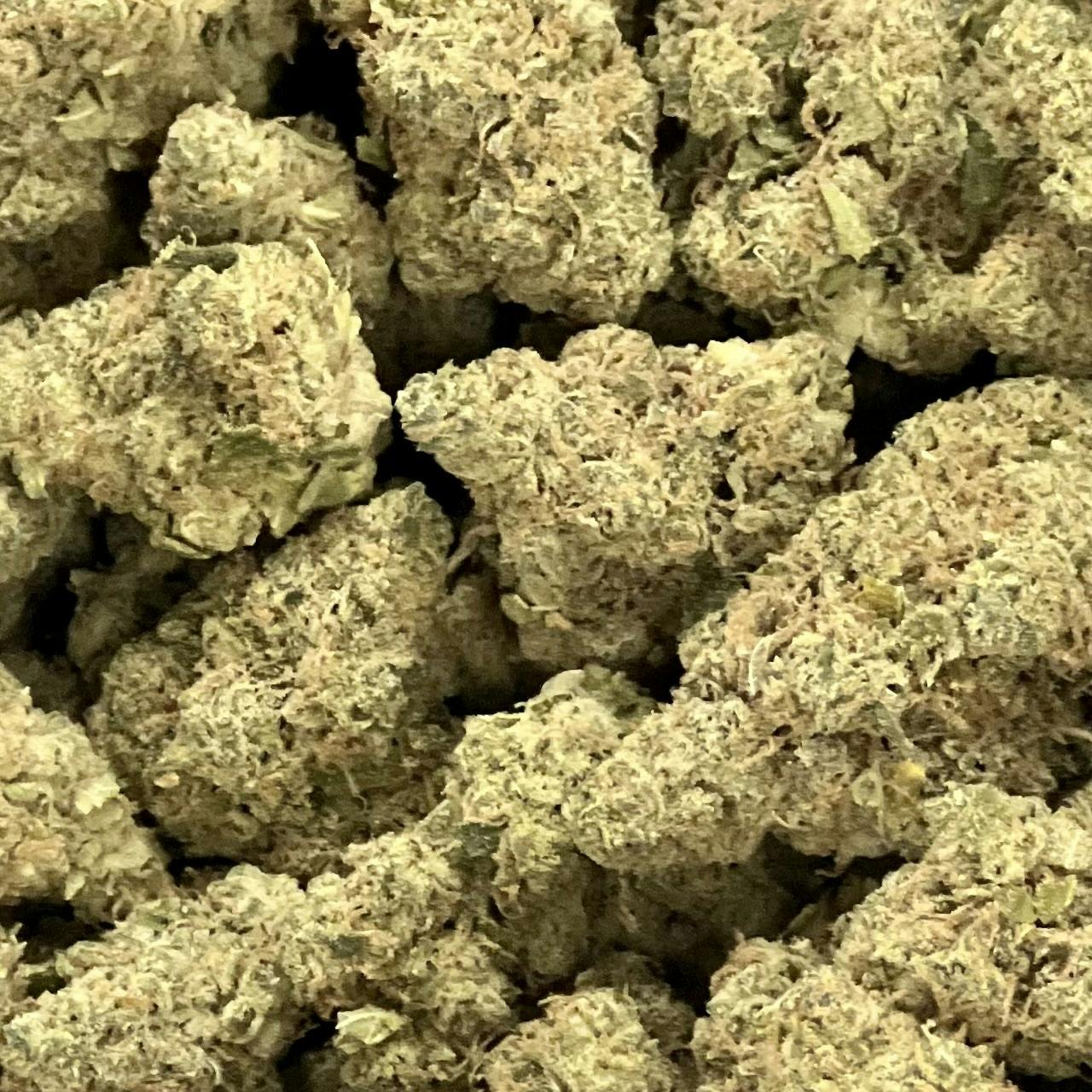 Indica Flower