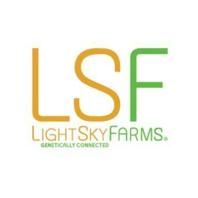 Light Sky Farms | Larry Bird Mints | 1g | Pre-Roll